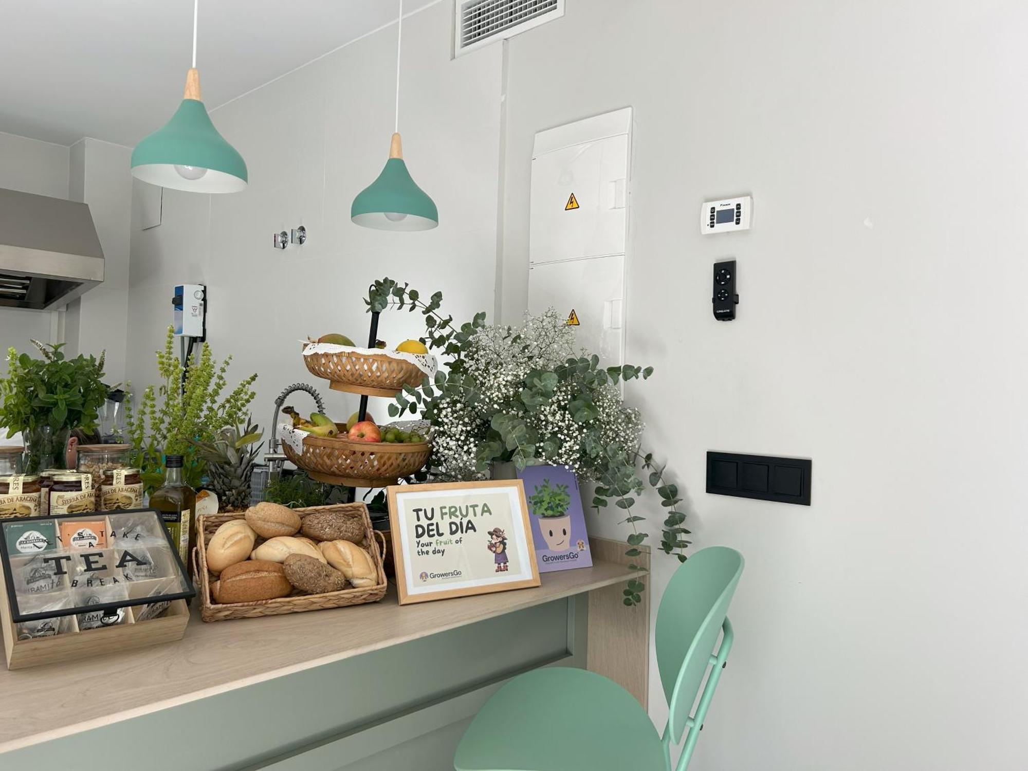 Growersgo Boutique Hostel Huelva Kültér fotó