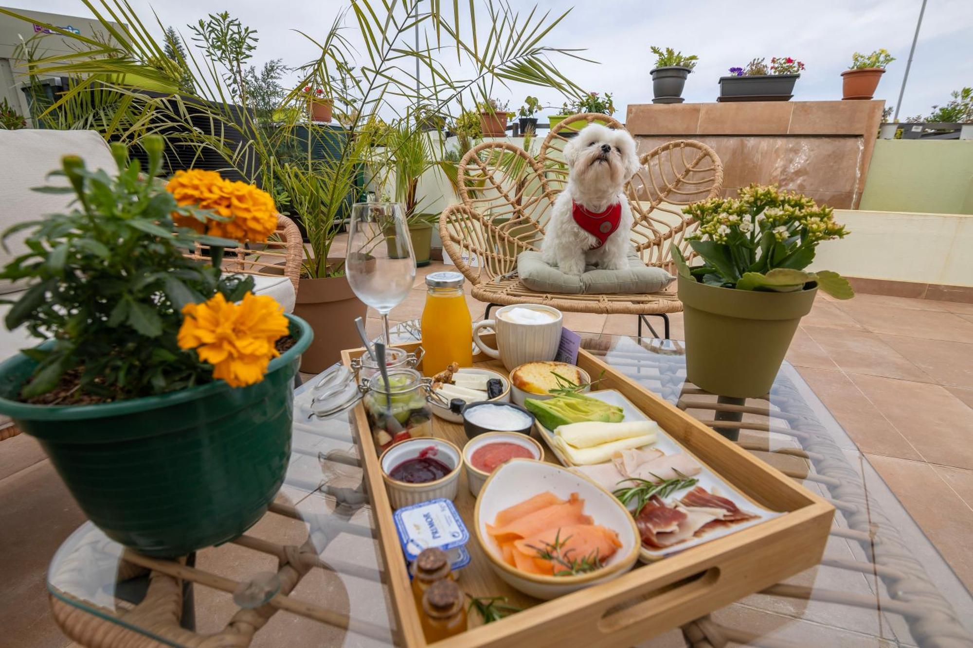 Growersgo Boutique Hostel Huelva Kültér fotó